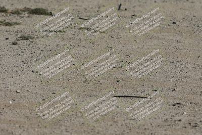 media/Oct-12-2025-Lucky Dog Racing (Sun) [[8adb5568ea]]/1-First Stint/6-Turns 2 and 1 Exit/